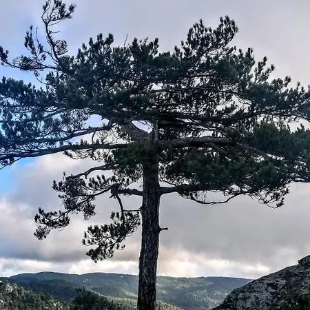 Дом отдыха To Spitaki
