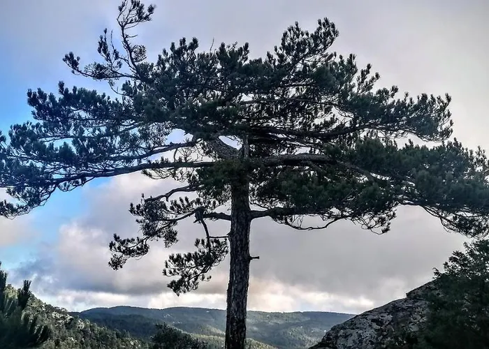 Dom wakacyjny To Spitaki